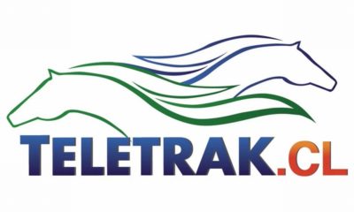 ¿Qué tipos de apuestas tiene Teletrak?