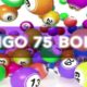 ¿Dónde jugar al bingo de 75 bolas?