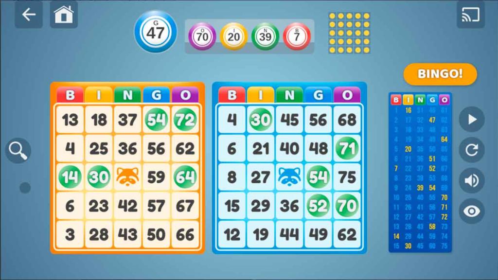 ¿Cómo jugar al bingo por internet?