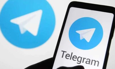 ¿Hay grupo de señales de Telegram de Spaceman?
